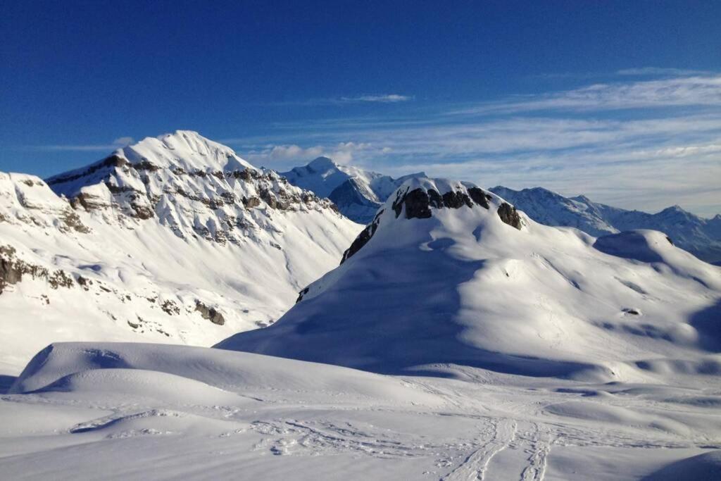 Eden Roc Grand Massif Apartment Les Carroz d'Araches Exterior photo